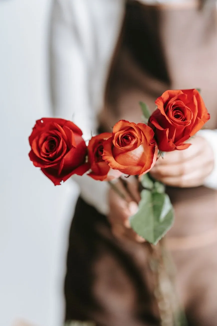 Three long-stem red roses held in one hand against a brown apron