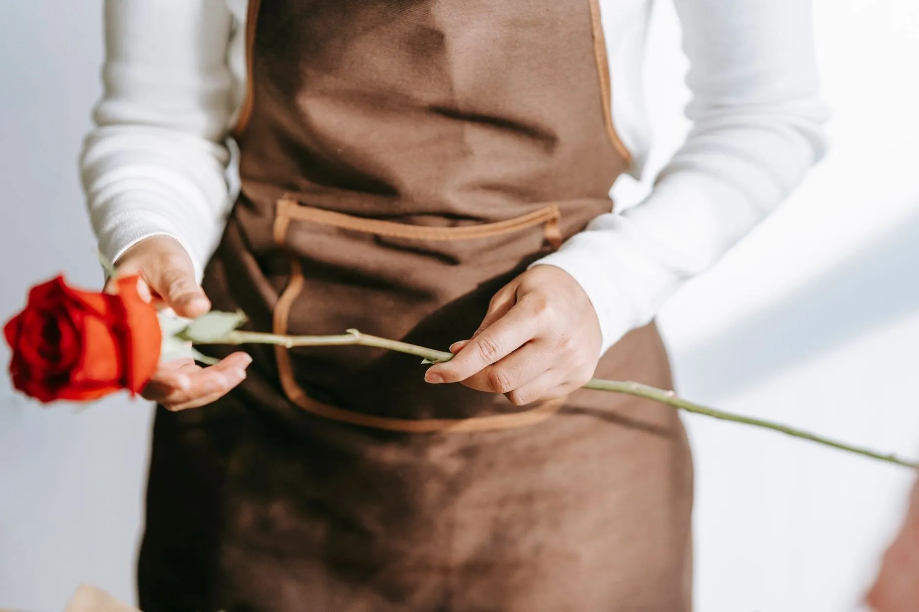 A single red rose held against a brown apron